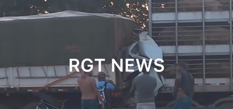 Motorista morre prensado após caminhão com porcos bater em carreta em Rondonópolis; vídeo