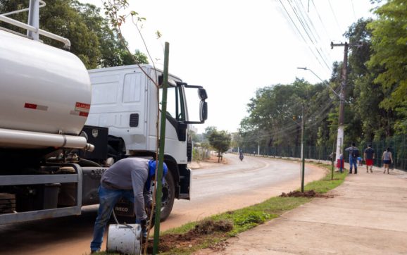 Participação da população é fundamental para que árvores plantadas se desenvolvam