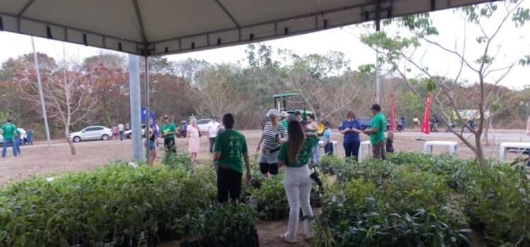Prefeitura de Rondonópolis é parceira de evento que vai distribuir 6 mil mudas de árvores