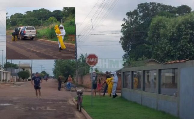 Ataque de abelhas causa pânico e deixa 9 feridos, entre crianças e idosos, em MT