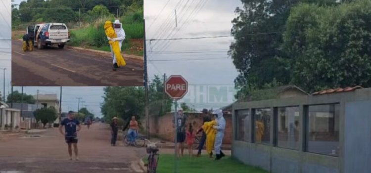Ataque de abelhas causa pânico e deixa 9 feridos, entre crianças e idosos, em MT