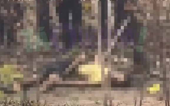 Cena bizarra: corpos são encontrados com sinais de tortura e orelhas decepadas em MT; assista