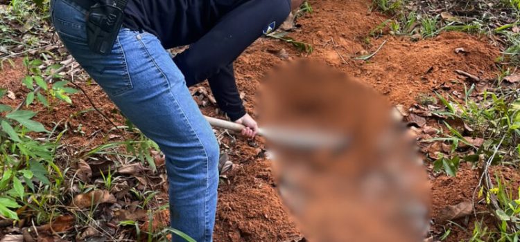 Mistério: PC encontra corpo enterrado e em decomposição durante buscas por desaparecidos no sul de MT; imagens
