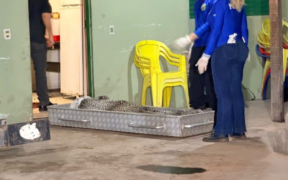 Pai encontra filho assassinado dentro de casa com sinais de extrema violência em MT; imagens