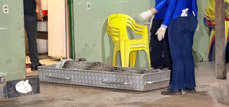 Pai encontra filho assassinado dentro de casa com sinais de extrema violência em MT; imagens